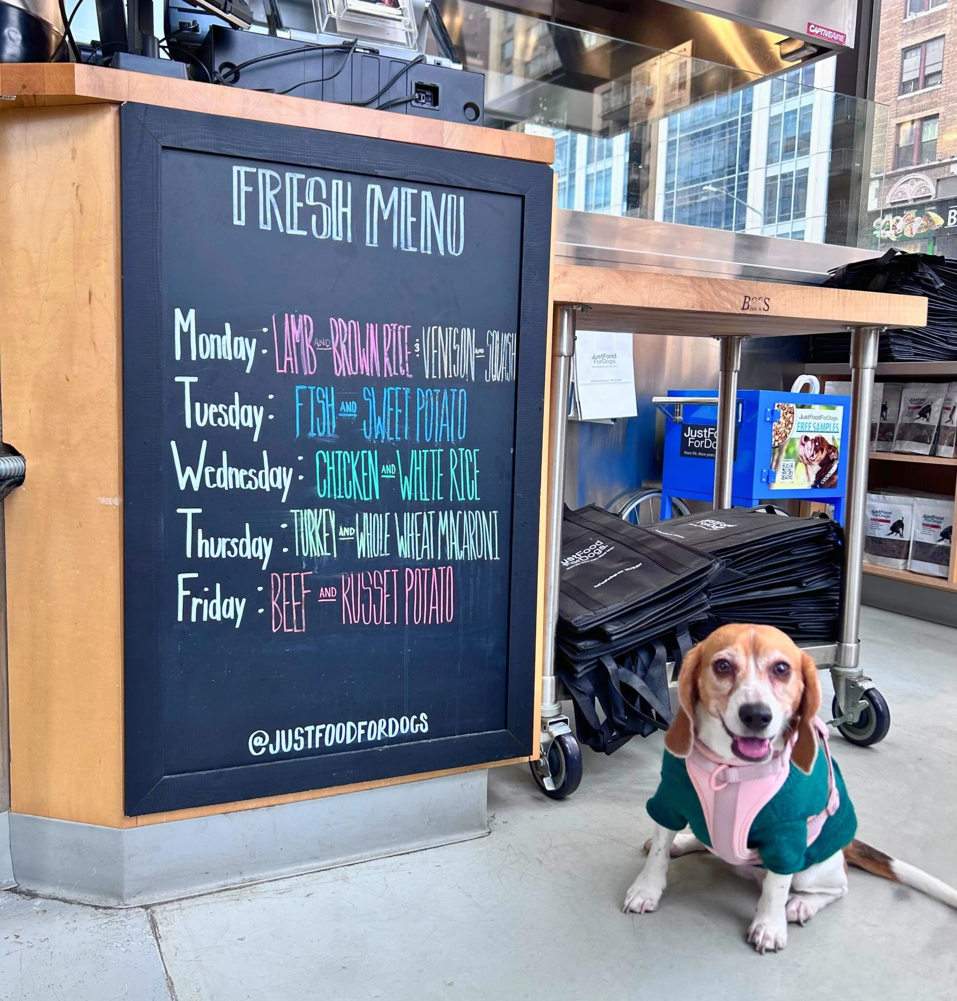 I Visited the JustFoodForDogs Kitchen and It Completely Sold Me On Fresh Dog Food